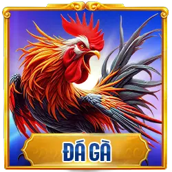Đá gà nh88