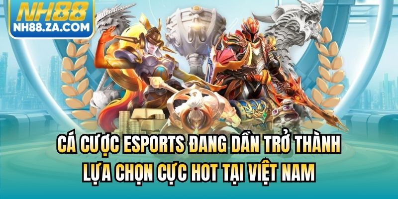 Cá cược Esports đang dần trở thành lựa chọn cực hot tại Việt Nam