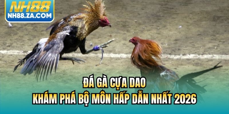 Đá Gà Cựa Dao | Khám Phá Bộ Môn Hấp Dẫn Nhất 2026
