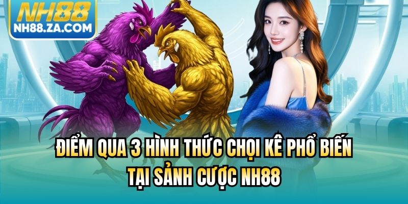 Điểm qua 3 hình thức chọi kê phổ biến tại sảnh cược NH88
